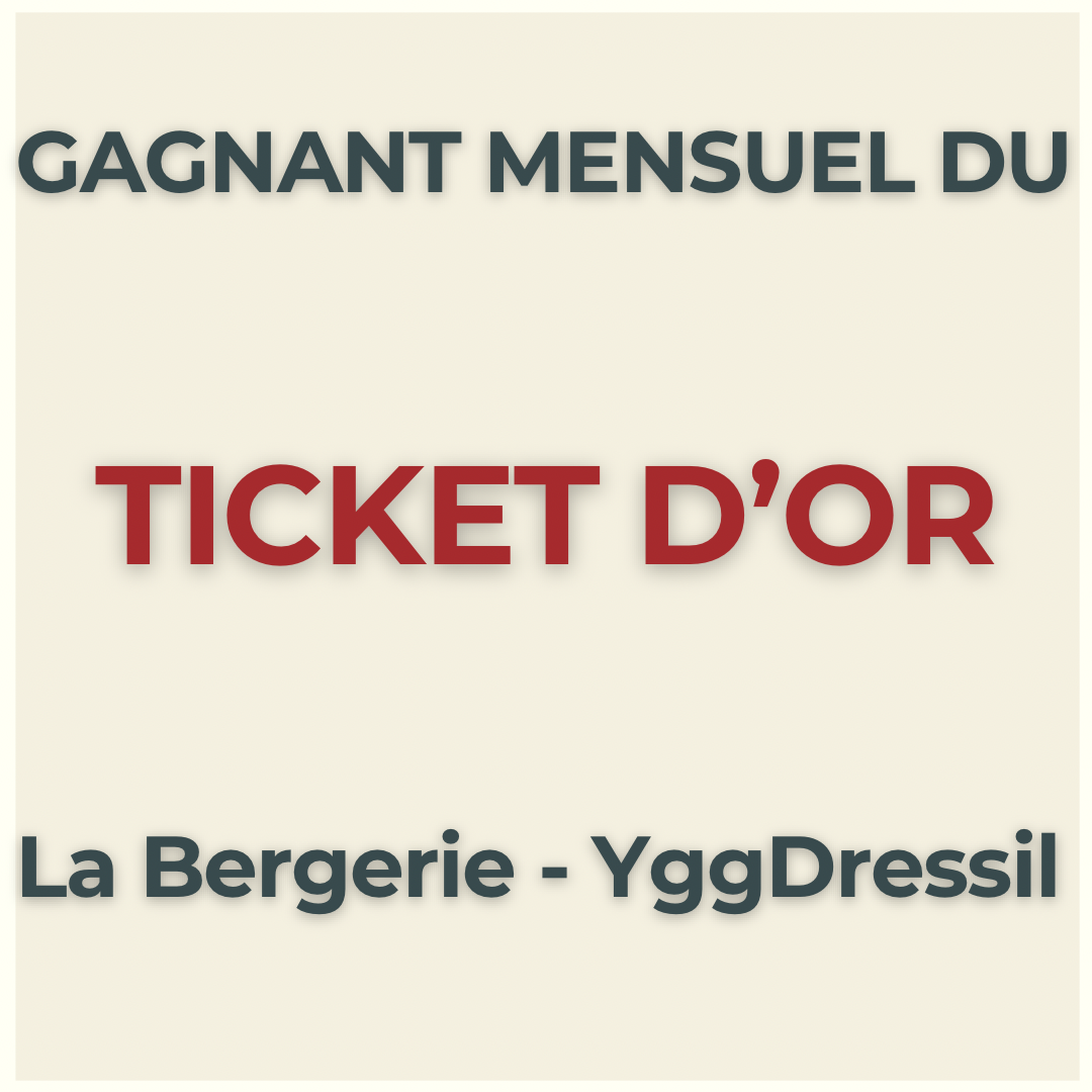 ❣️ Gagnant Ticket d’Or ❣️
