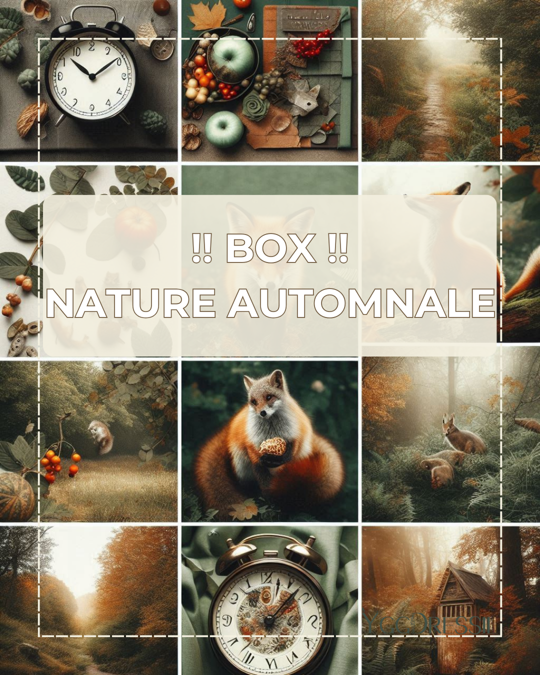 Nature Automnale - Box 300G & goodies surprises - Box de laine teinte à la main - Écheveaux fingering