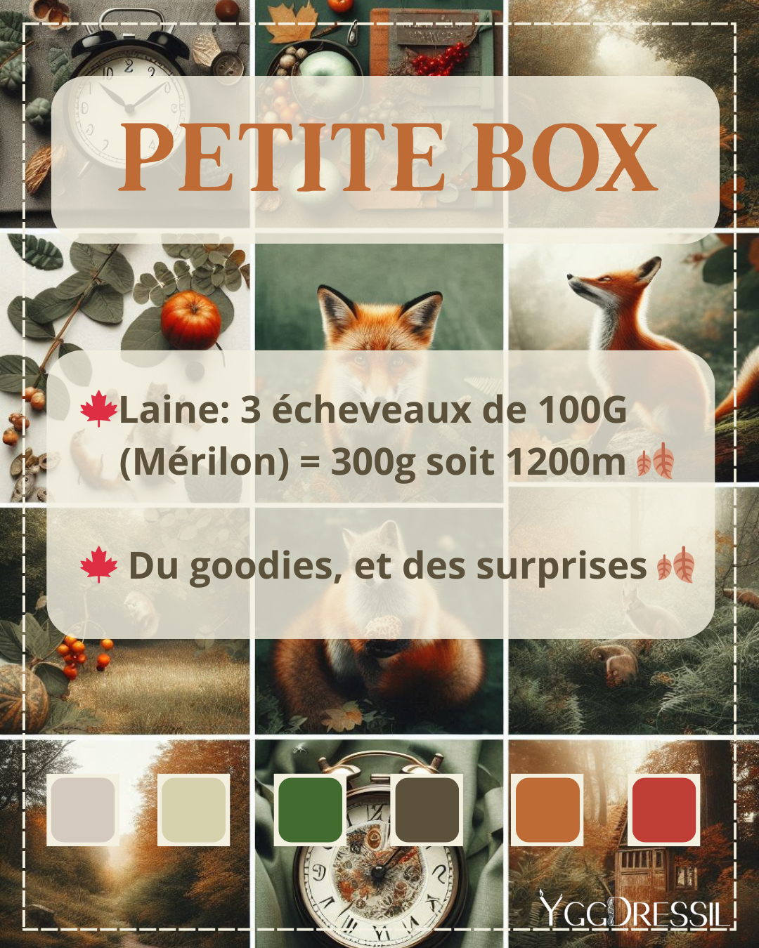 Nature Automnale - Box 300G & goodies surprises - Box de laine teinte à la main - Écheveaux fingering