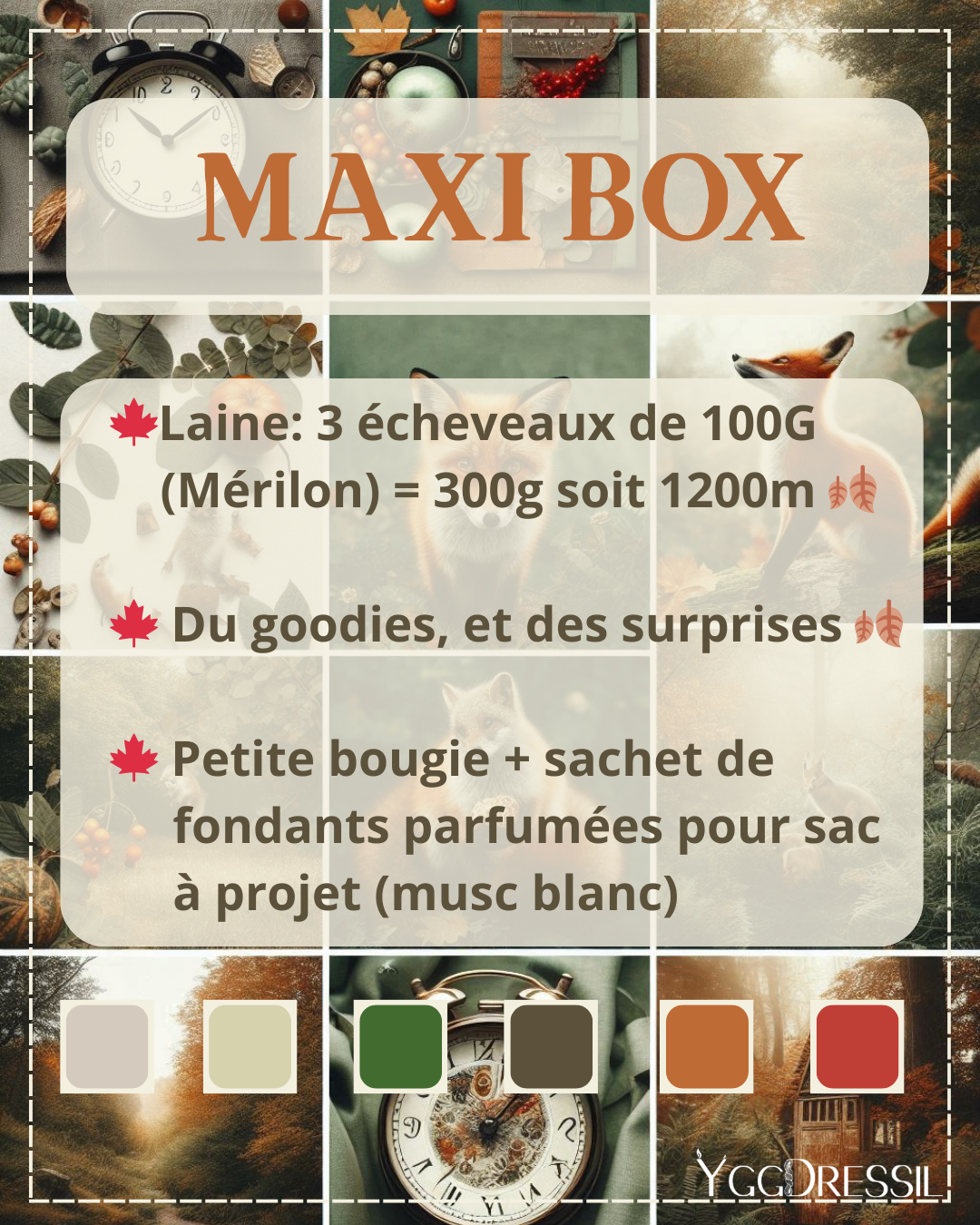 Nature Automnale - Box 300G & goodies surprises - Box de laine teinte à la main - Écheveaux fingering