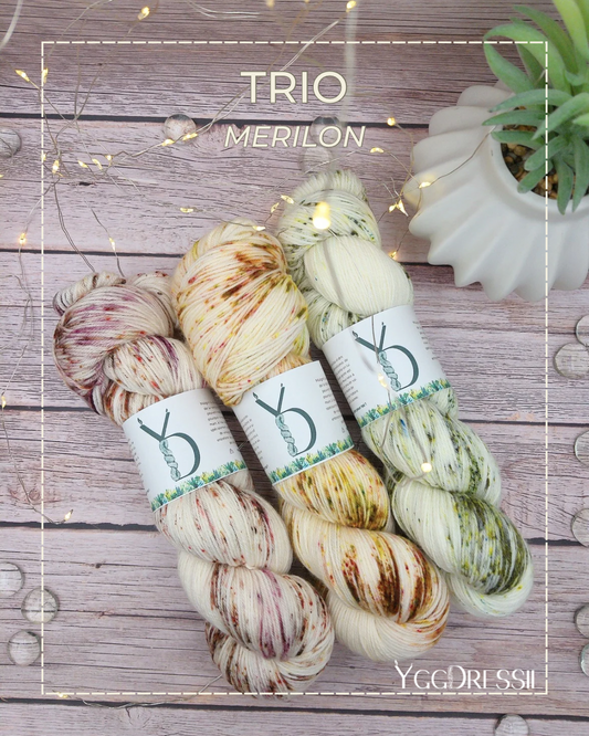 Trio - 300g - Fingering - Mérilon - Écheveaux de laine teints à la main.