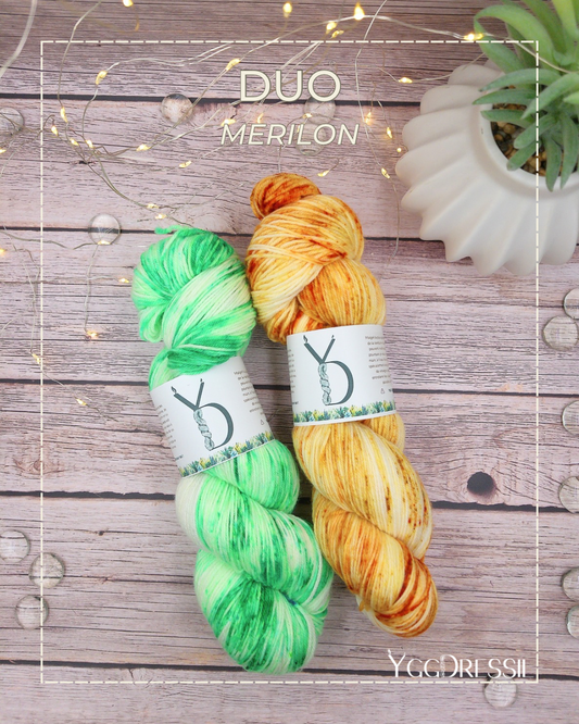 Duo - 200g - Fingering - Mérilon - Écheveaux de laine teints à la main.