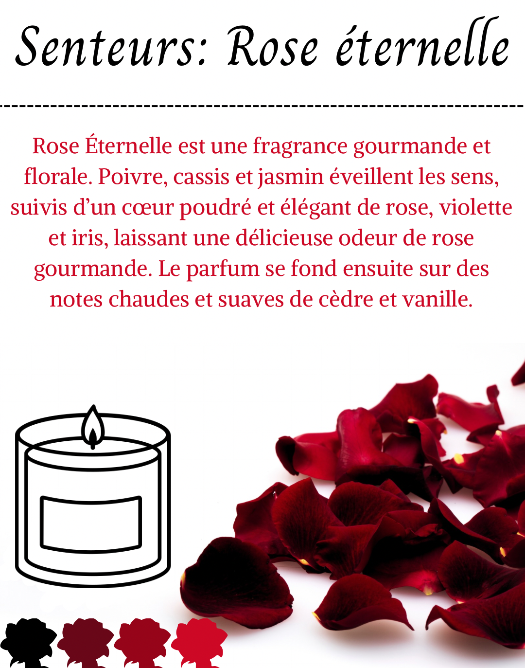 Box Surprise: Liaison Nocturne - 200g de laine - Écheveaux de laine teint à la main