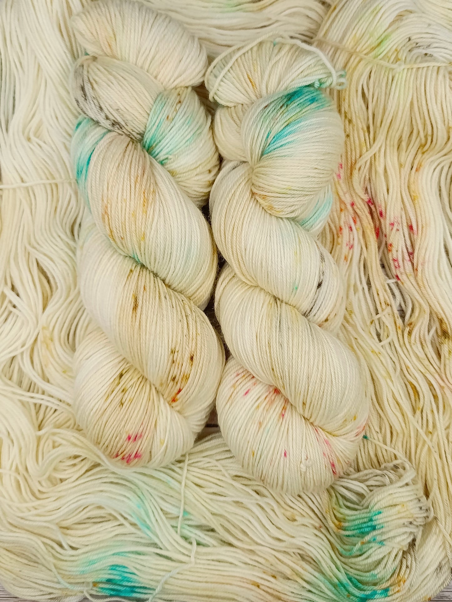 Coquillage