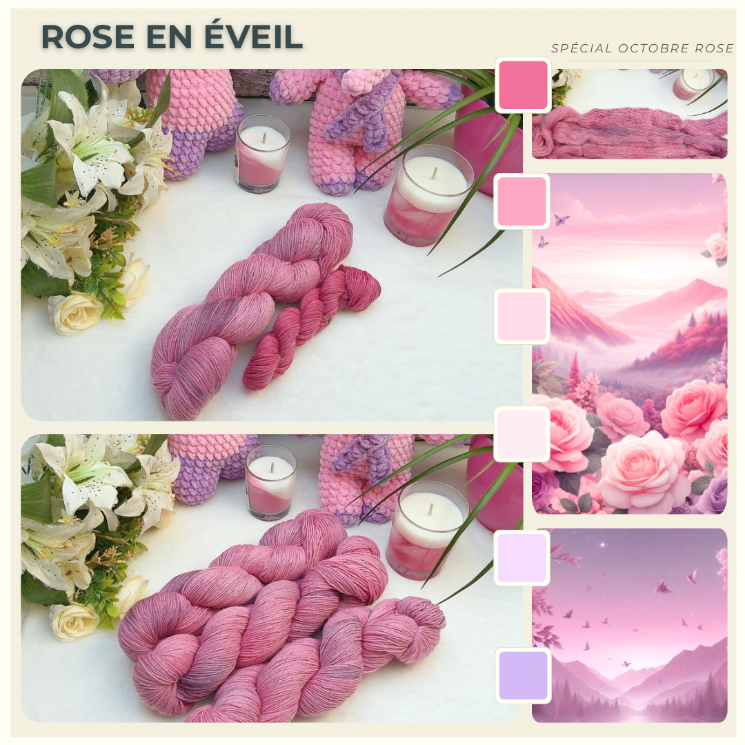 Rose en éveil - (100g + 20g) - (75% mérinos - 25% nylon)