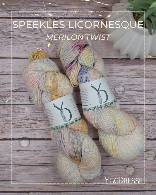Speekles Licornesque - 100g - Fingering - Mérilon’Twist - Écheveaux de laine teints à la main.