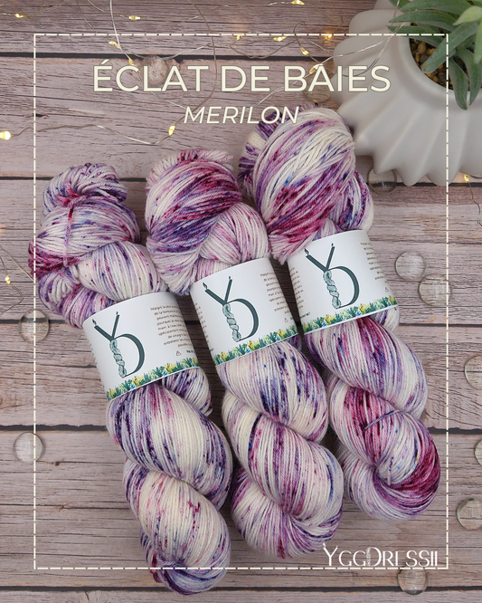 Eclats de baies - 100g - Fingering - Mérilon - Écheveaux de laine teints à la main.