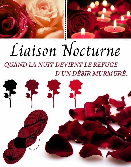 Box Surprise: Liaison Nocturne - 200g de laine - Écheveaux de laine teint à la main